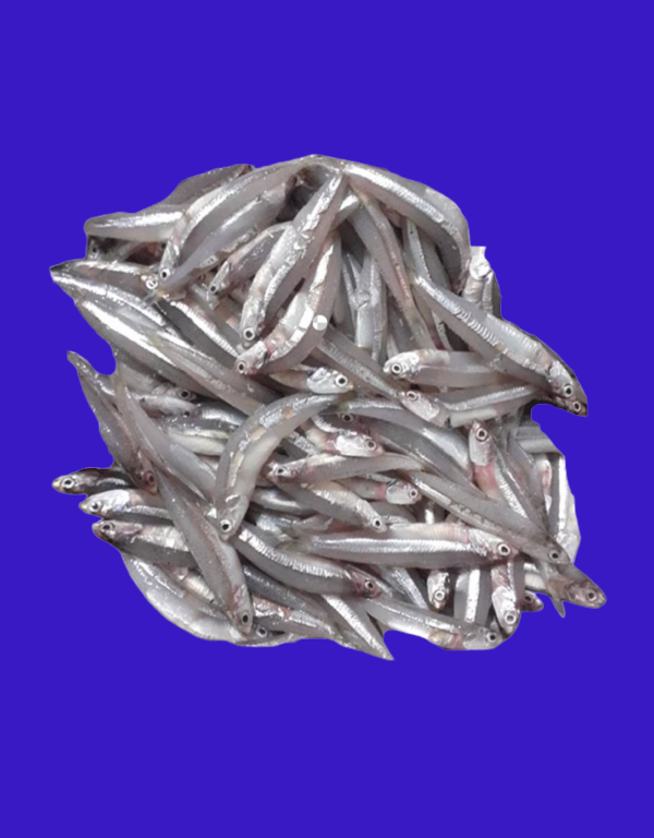 Teri Balok 10KG