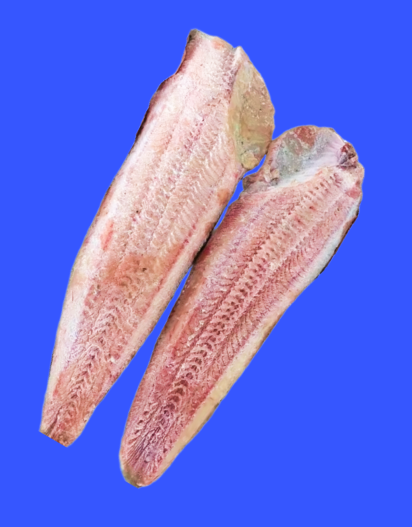 Lele Fillet Glaze 20%