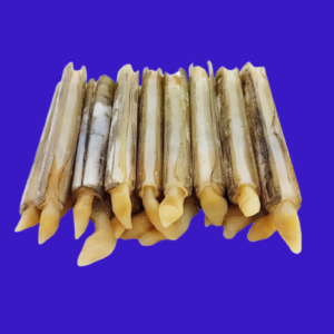 Kerang Bambu IQF