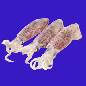 Cumi-Cumi Beku 1KG